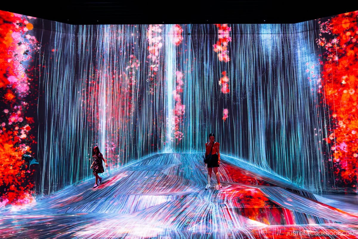 Waterfall and red flower projection mapping