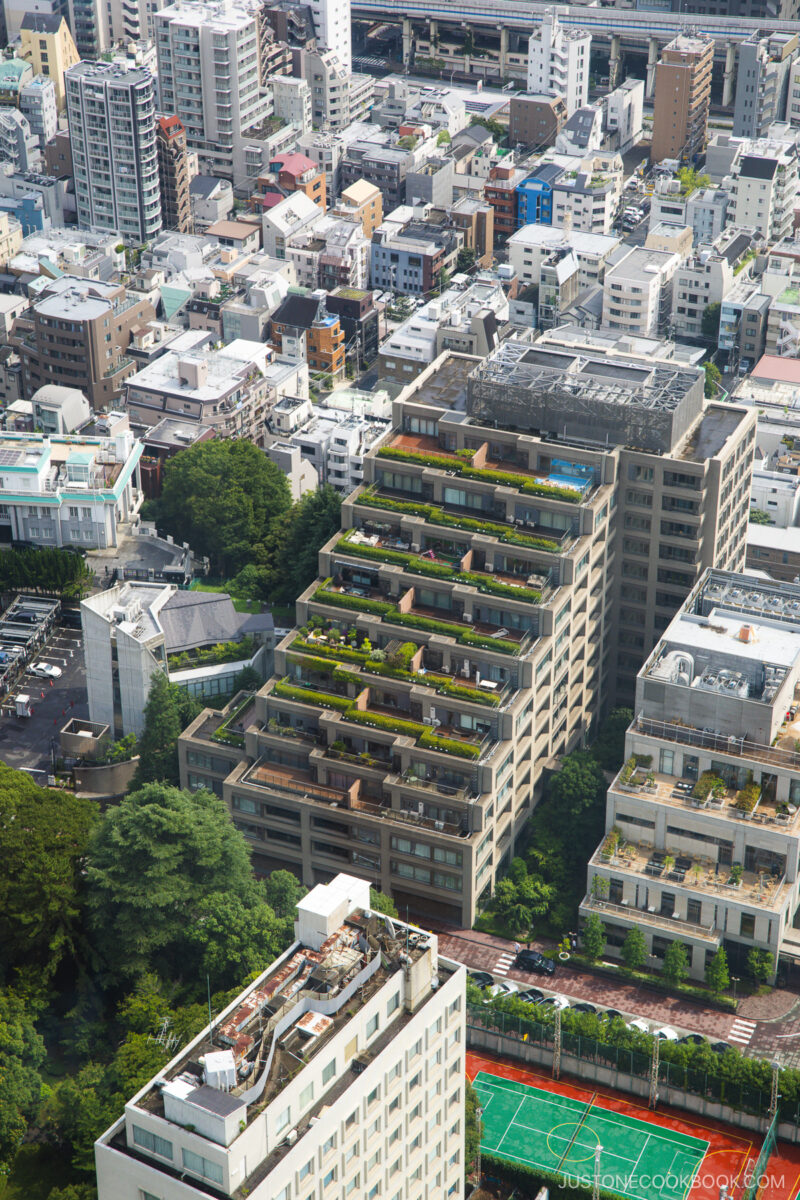 Tiered building in Tokyo's skyline