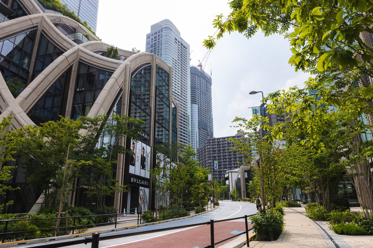 Road lined with luxury shops and trees with skyscrapers in the background