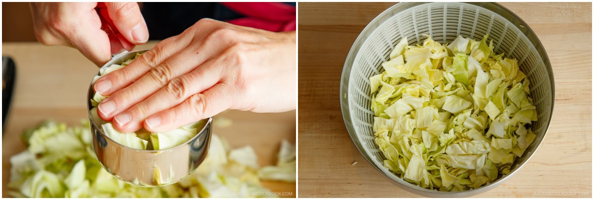Yamitsuki Cabbage 3