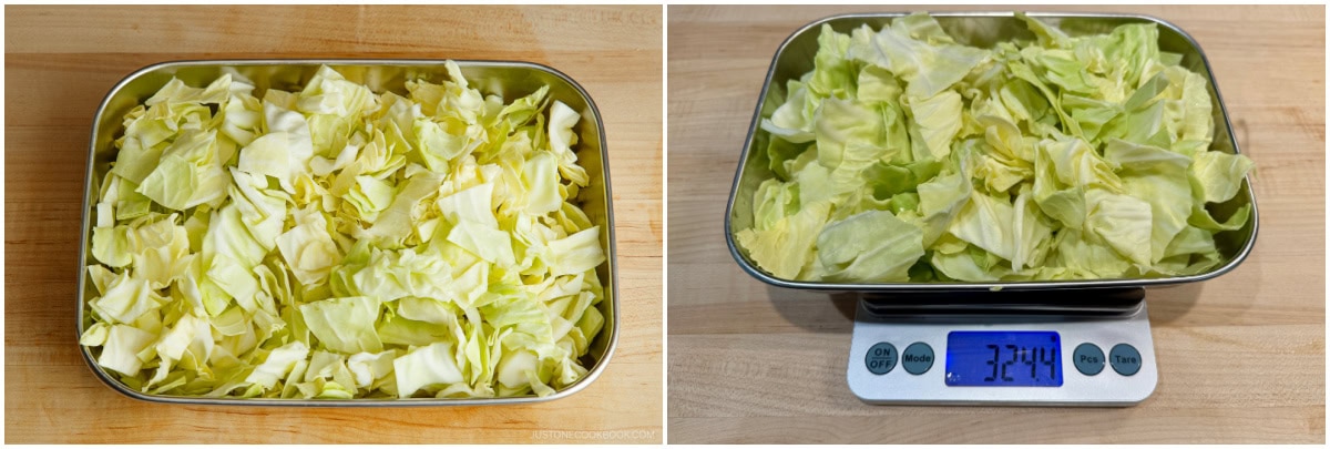 Yamitsuki Cabbage 4