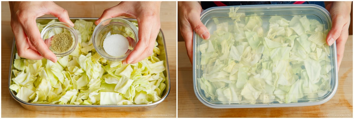 Yamitsuki Cabbage 5